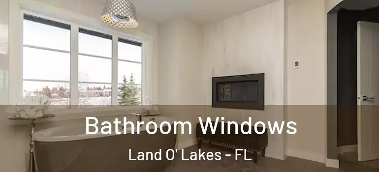  Bathroom Windows Land O' Lakes - FL