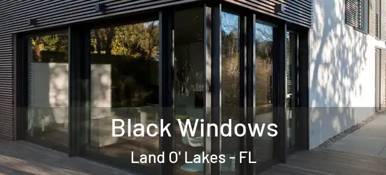  Black Windows Land O' Lakes - FL