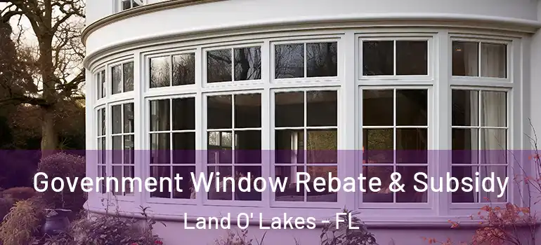  Government Window Rebate & Subsidy Land O' Lakes - FL