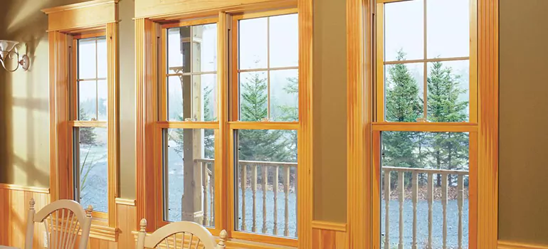 Government Incentives For Replacement Windows in Land O' Lakes, FL