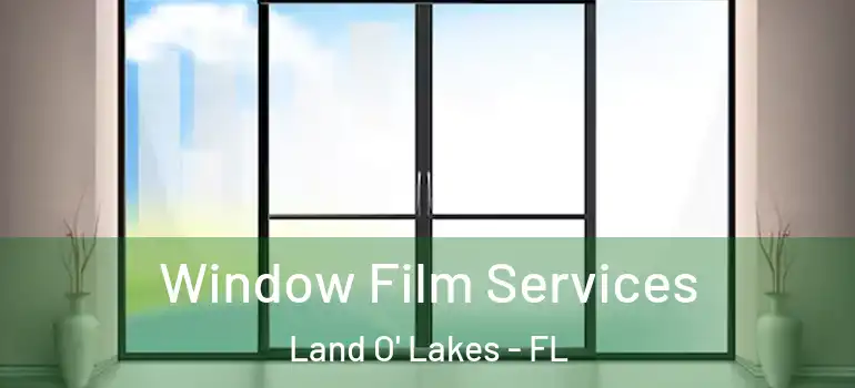  Window Film Services Land O' Lakes - FL