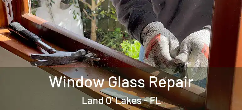  Window Glass Repair Land O' Lakes - FL