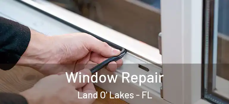  Window Repair Land O' Lakes - FL