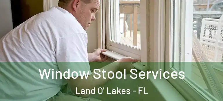  Window Stool Services Land O' Lakes - FL